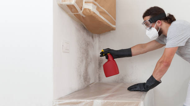 Professional Attic Mold Remediation technician working in Hicksville, NY