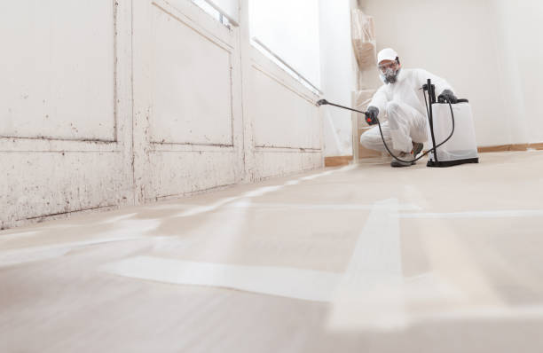 24/7 Emergency Attic Mold Remediation experts in Hicksville, NY
